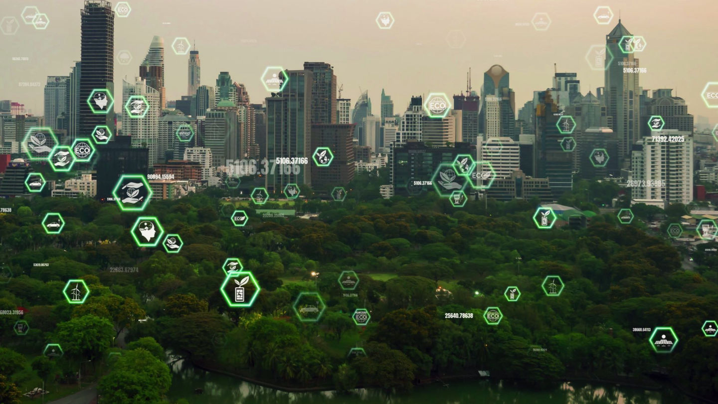 Environmental Data Management